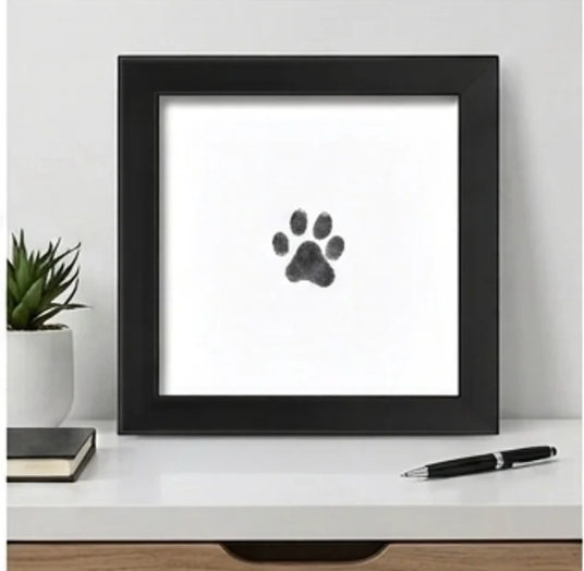 Finished paw print framed and displayed on desk